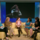 Abbie-TheView3rd-00166.png